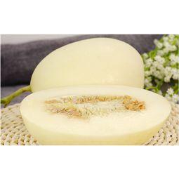 海南哈密瓜玉菇今日行情,丰收季里的甜蜜价格波动